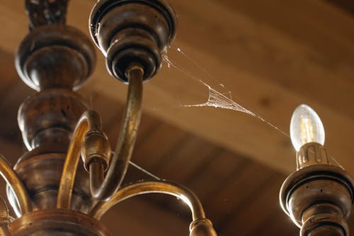 Free Cobweb on Chandelier Stock Photo