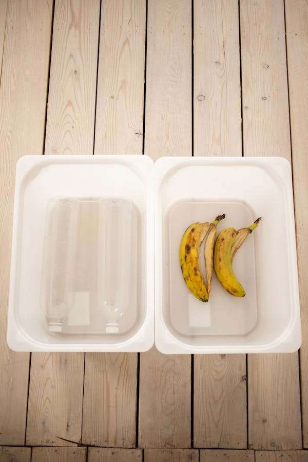 Imagen 1 de Título del Ministerio 4