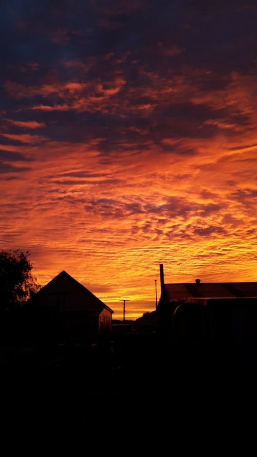 Free stock photo of early sunrise, rain coming, sunrise