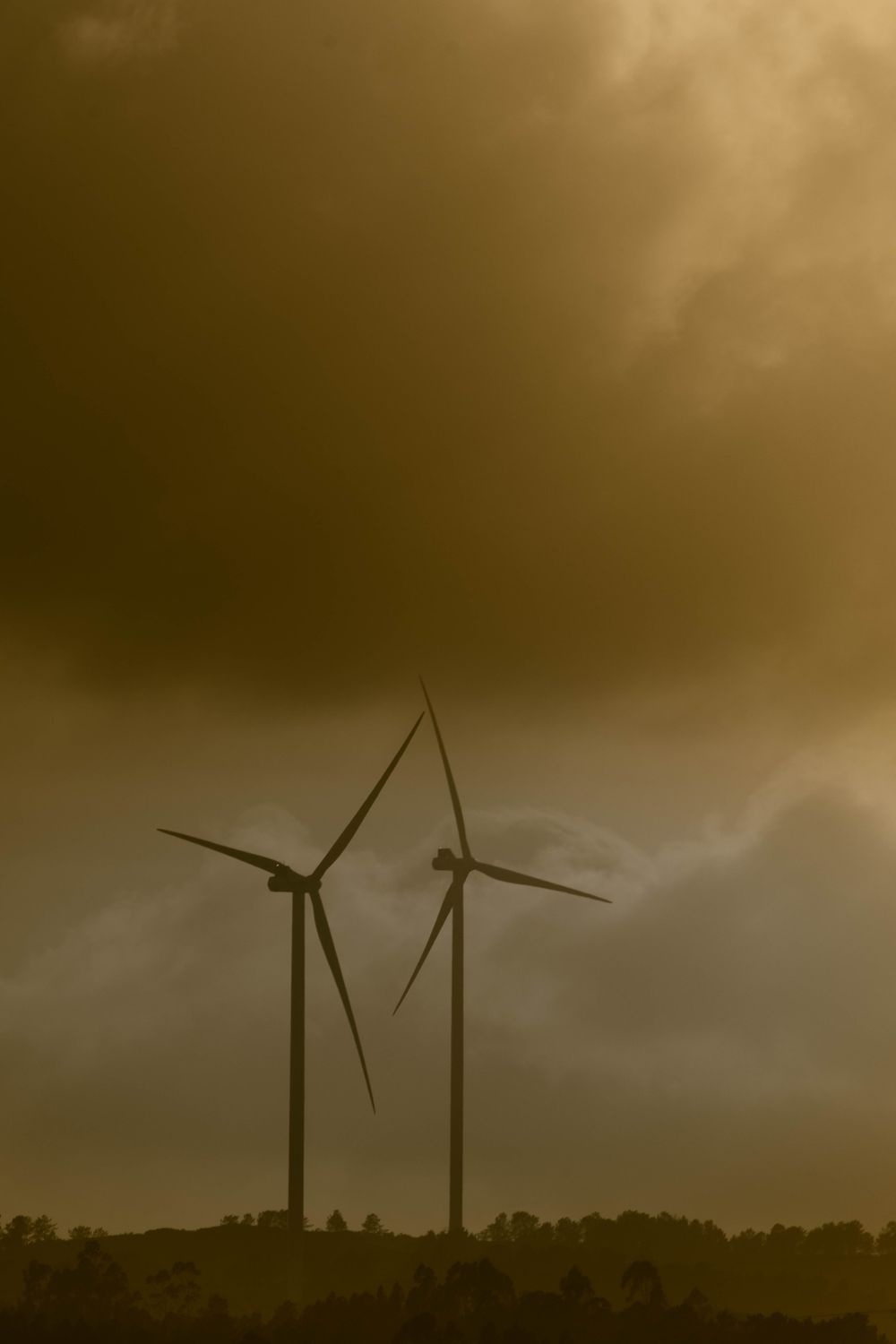 Wind turbines silhouetted at dusk. Photo by Diogo Cacito on Pexels