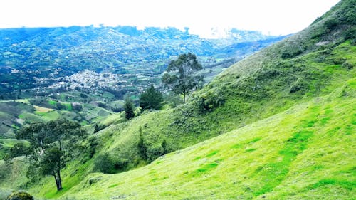 Foto stok gratis bidang hijau, jejak gunung, pemandangan gunung