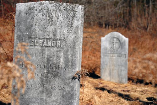 Free Tombstones in the Cemetery Stock Photo