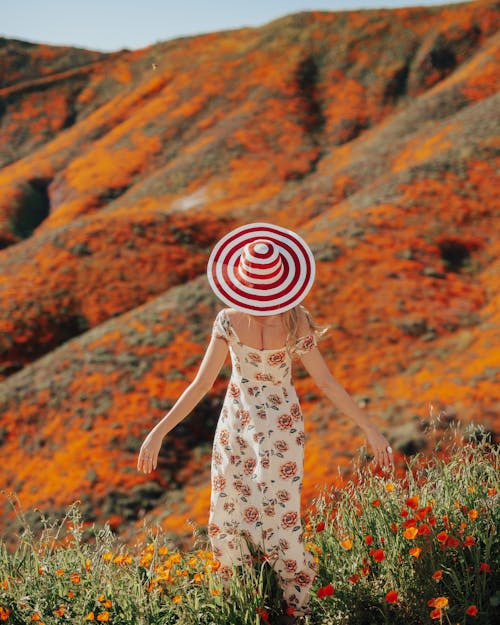 grátis Foto profissional grátis de chapéu de praia, cores de outono, flora Foto profissional