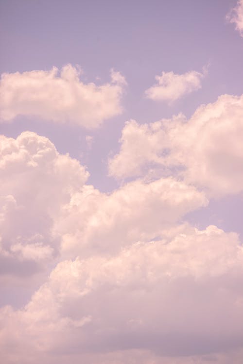 White thick cumulus clouds floating on blue sky in nature on sunny summer day with bright sunshine high in air