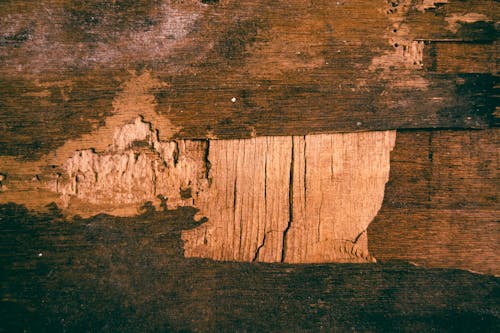 Shabby plywood with chipped details