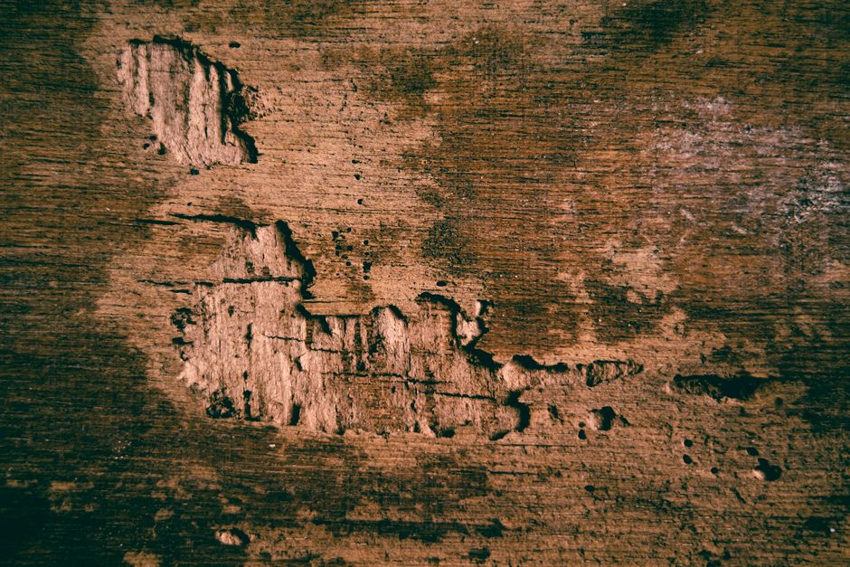 Hardwood Floor Drying & Salvage service in Wylie, Texas — hardwood floor drying with air movers