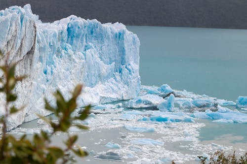  Icebergs on Body of Water