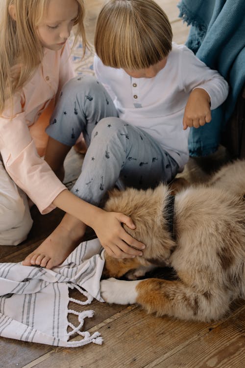 Free A Girl Petting a Dog  Stock Photo