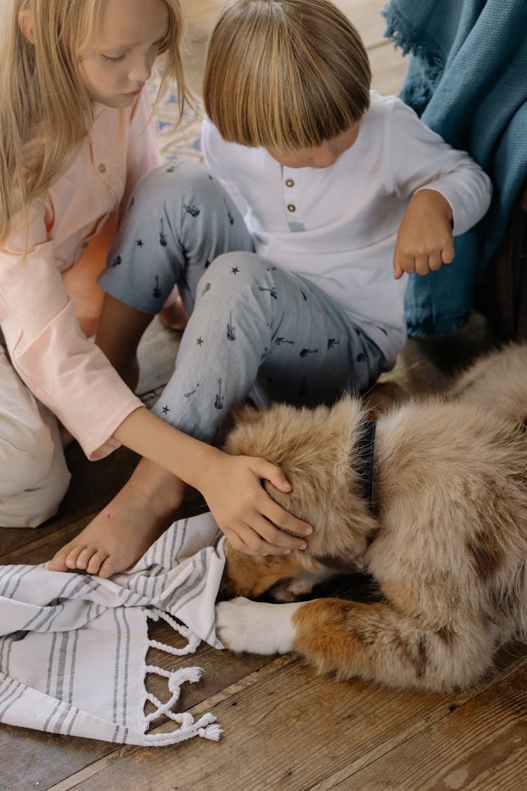 A Girl Petting A Dog 