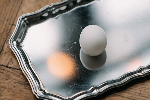 Photo of a White Egg on Stainless Steel Tray