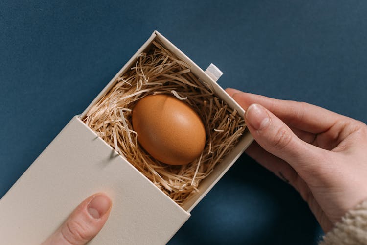 A Brown Egg In A Box