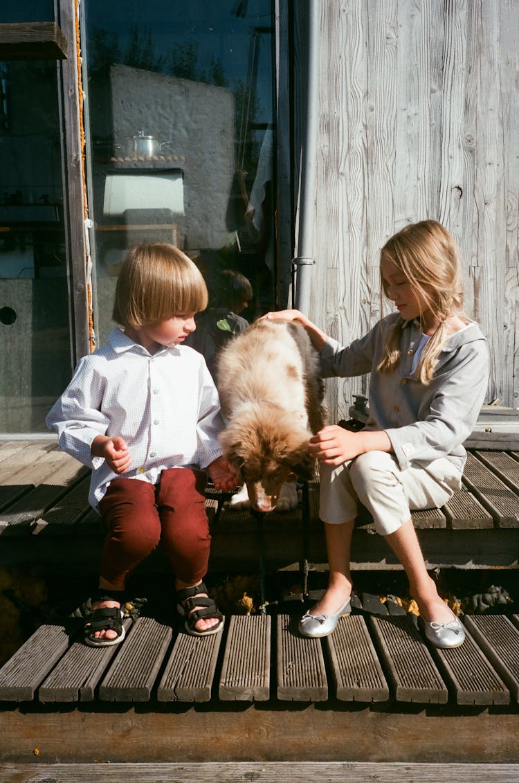 Two Children Playing Sitting On Wooden Deck With A Dog