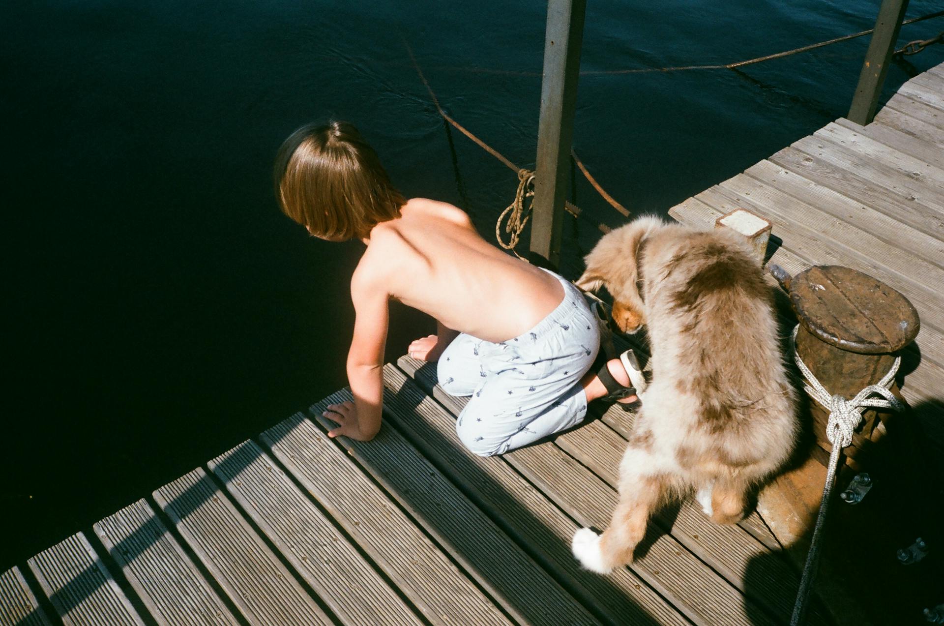 A child and a fluffy puppy curiously lean over a wooden dock by a lake under sunlight.