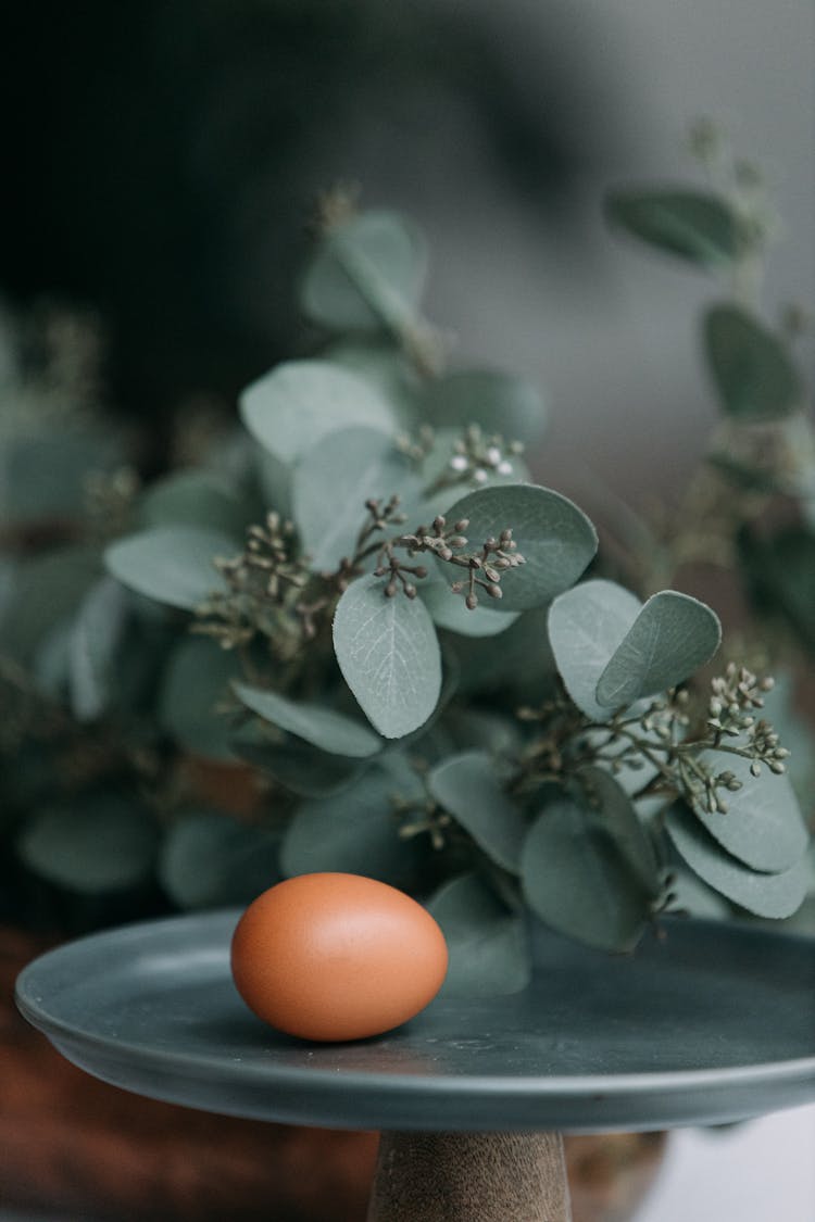 An Egg On The Tray With Leaves