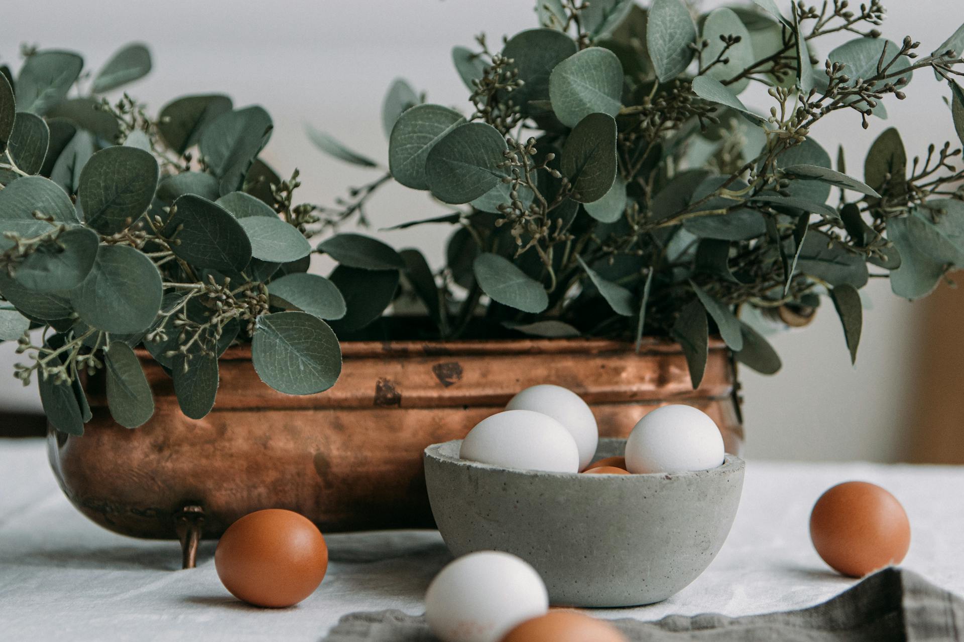 White Egg on White Egg Tray