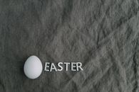 White Egg on Gray Textile