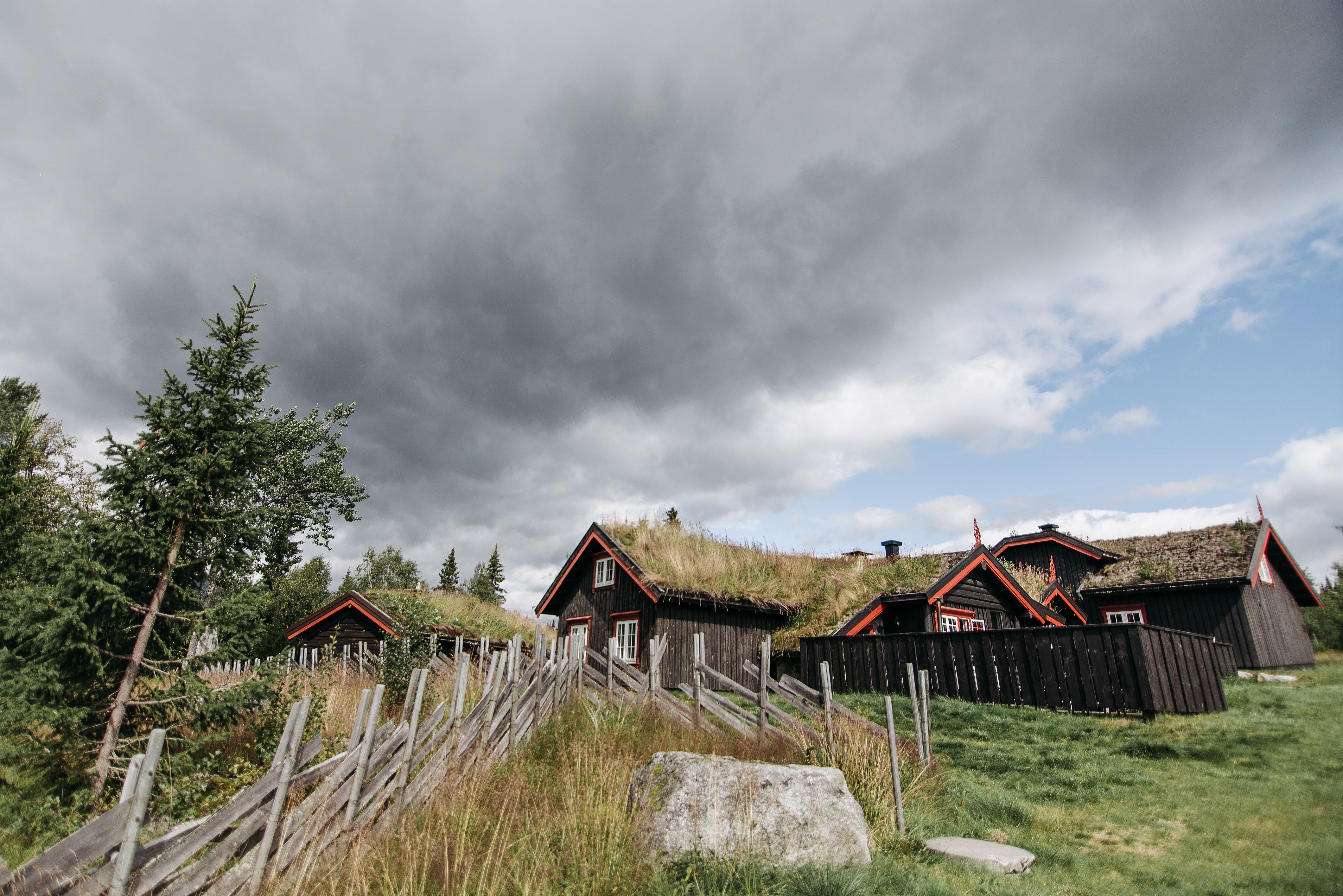 New report finds Minnesotans are seeing the highest home insurance spikes in the country — Photo by Pavel Danilyuk on Pexels