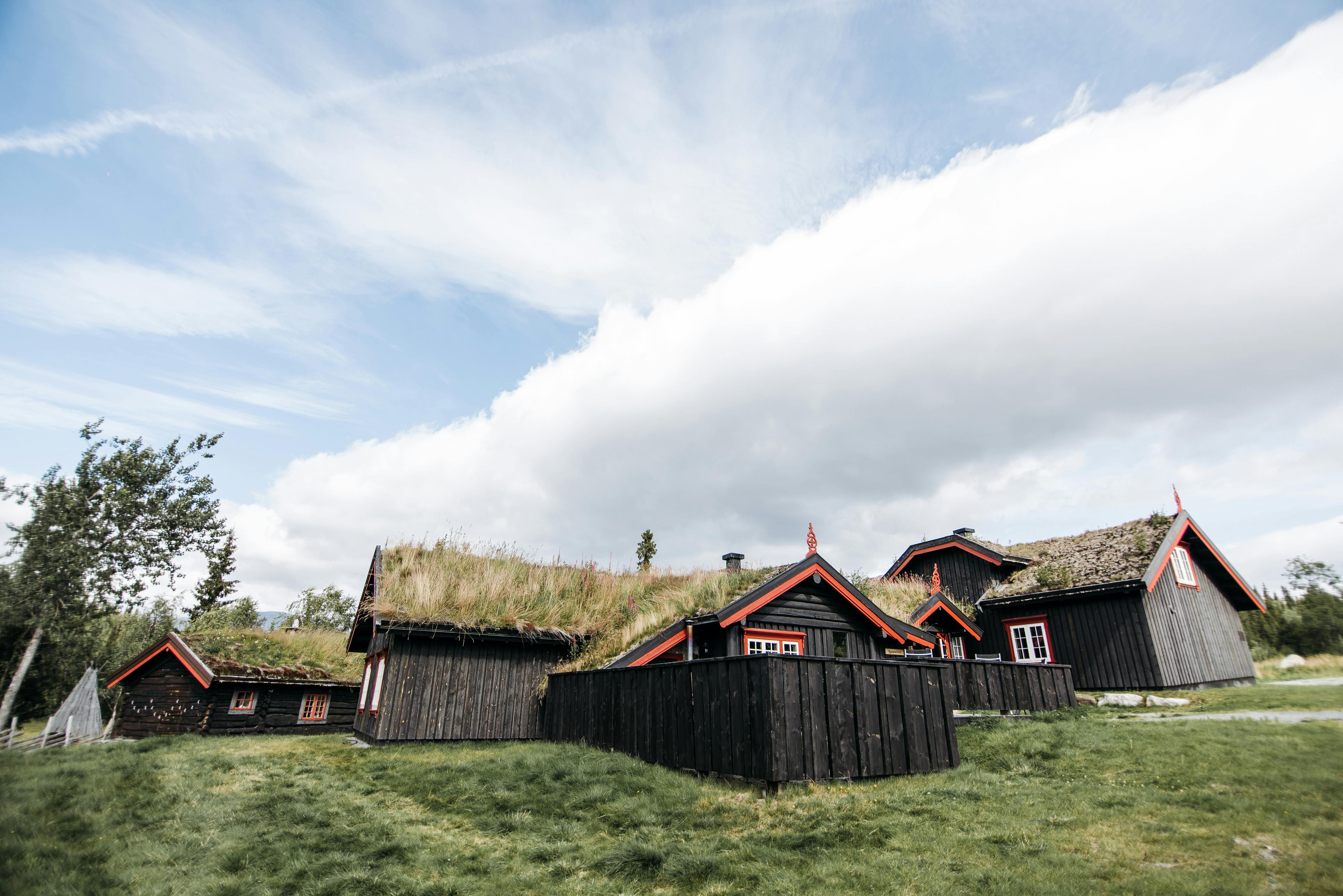 wooden houses with grass on roofs