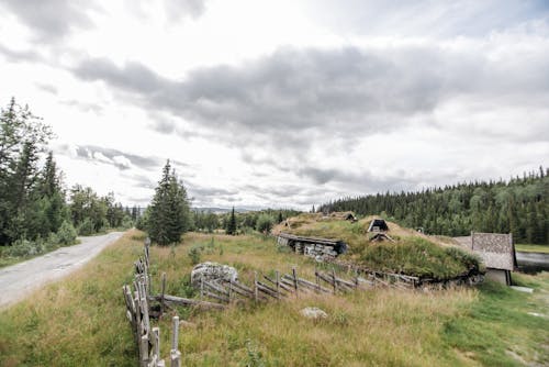 Cloudy Sky over Houses and Trees