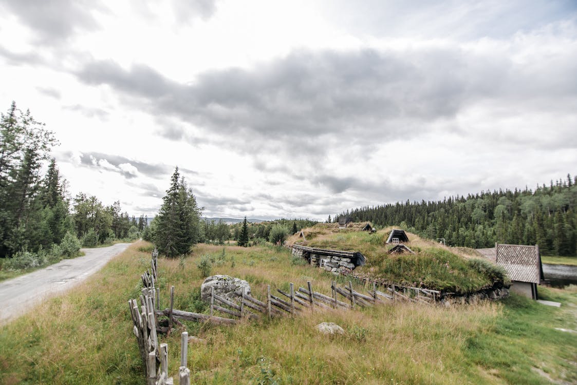 Cloudy Sky over Houses and Trees