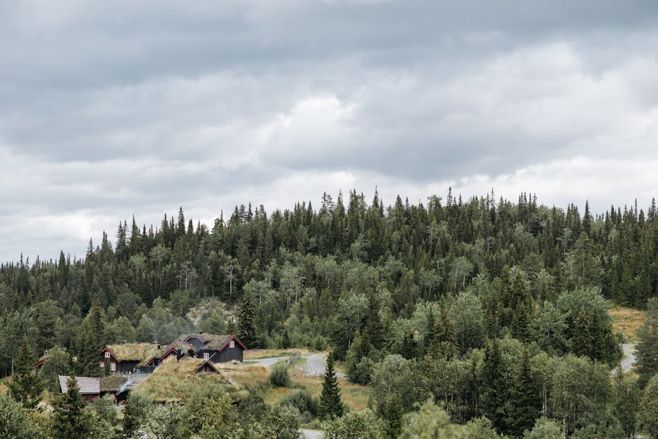 Find Serenity: Northern California'S Premier Mental Health Retreats 5 hillside meditation cabins - mental health retreat northern california