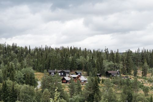 Free Picturesque view of rustic cabins nestled among green trees under a cloudy sky. Stock Photo