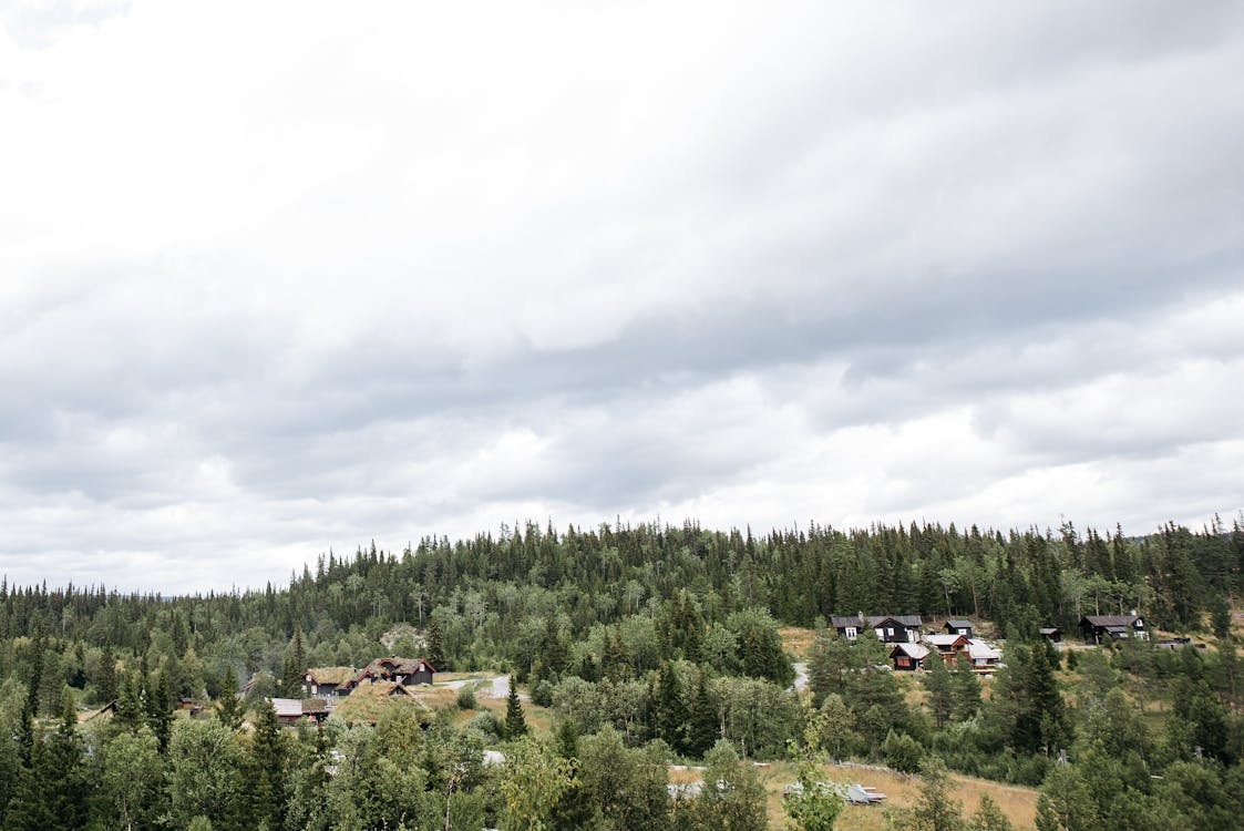 Photograph of White Clouds Above Green Trees