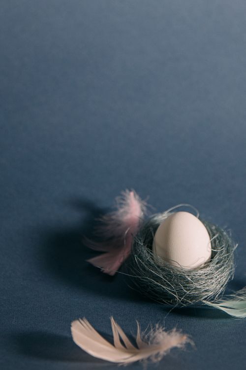Free A single white egg nestled in a feathered nest, set against a blue background, evoking Easter and spring themes. Stock Photo
