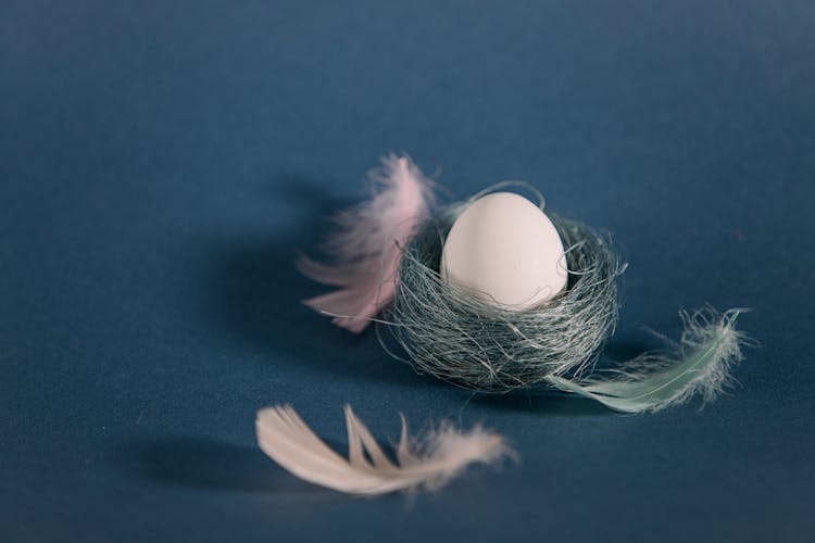 A Lilac Colored Egg On Gray Nest