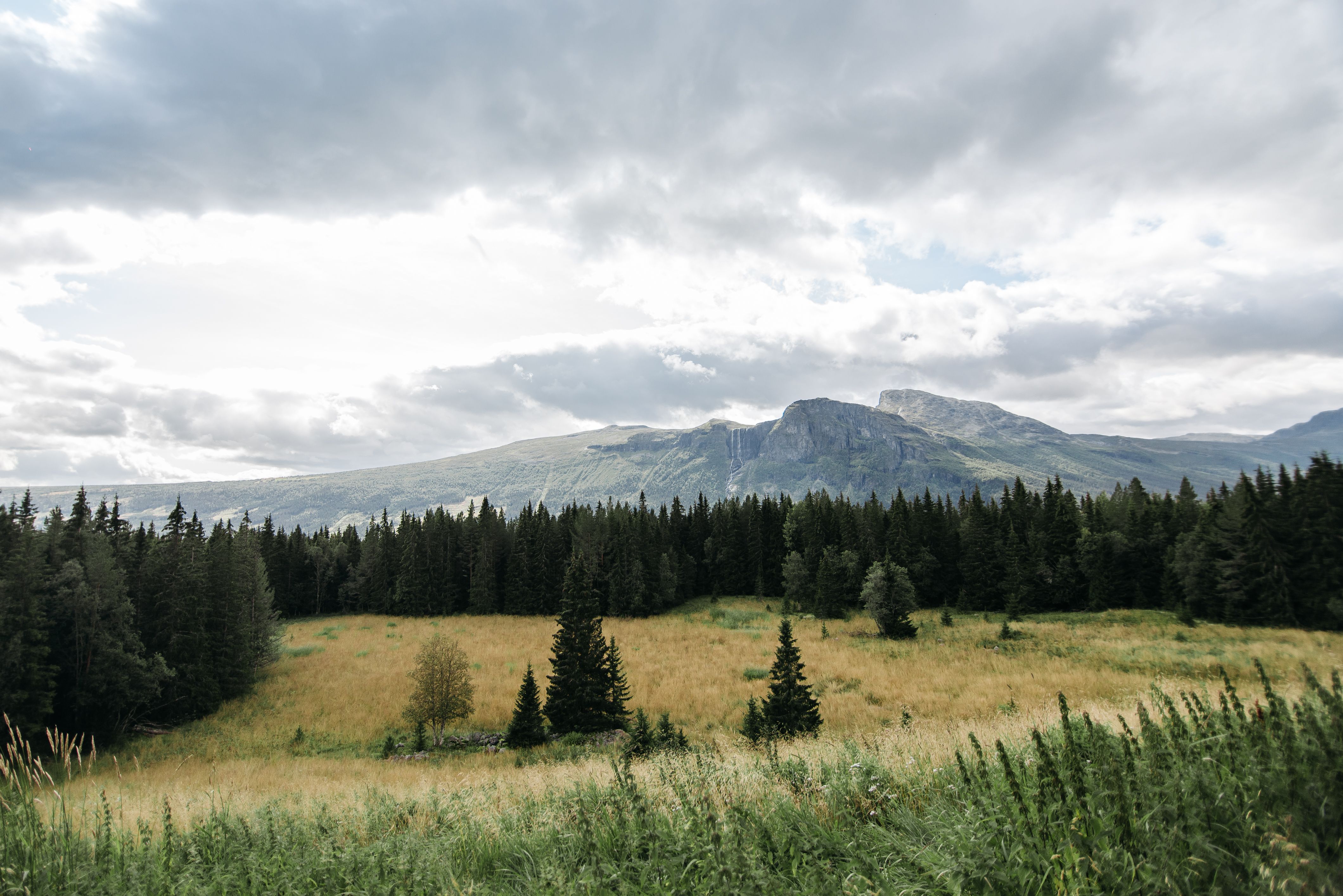 Yellowstone<div>A Destination for Forever</div>