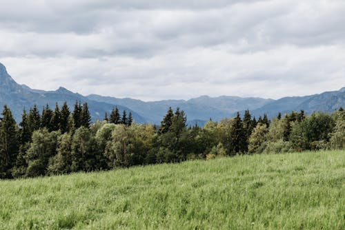 Gratis lagerfoto af bjerg, bjerge, græs