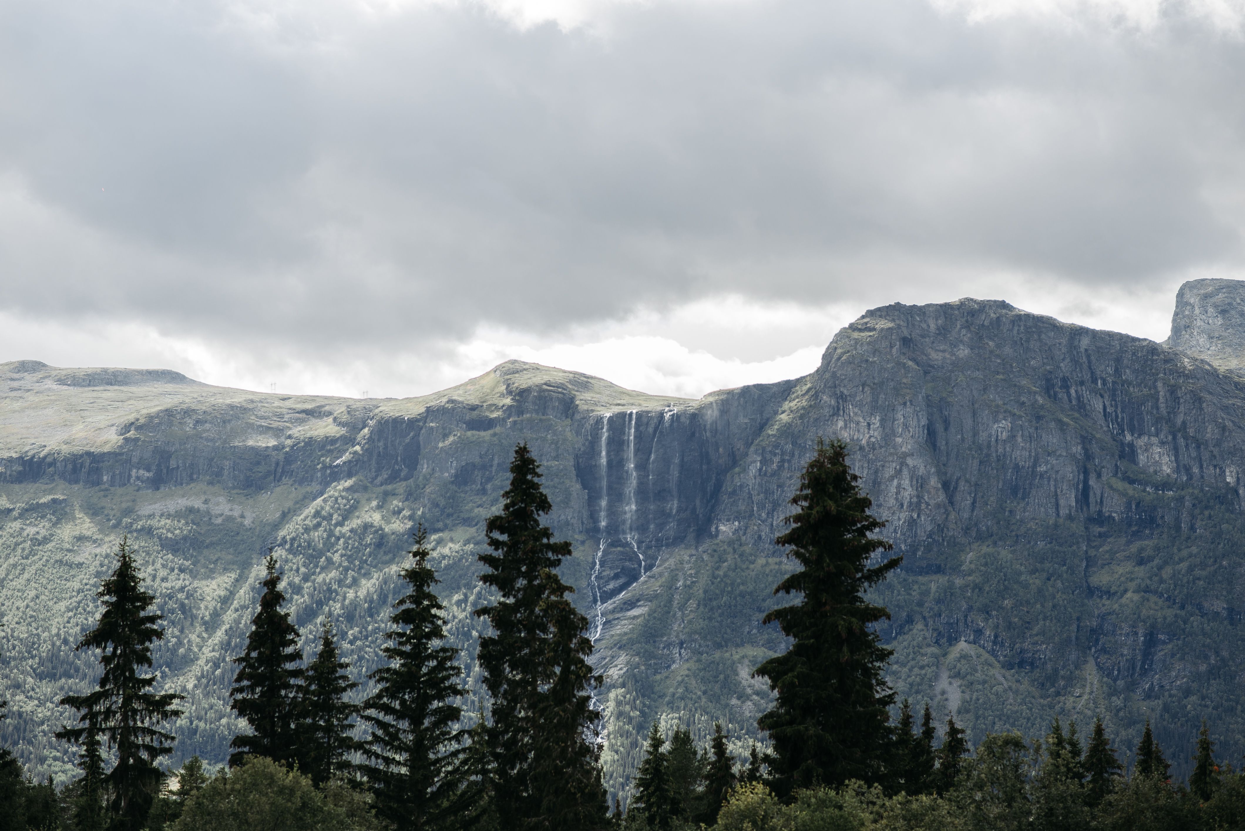 Green Pine Trees Near Mountain Under Cloudy Sky · Free Stock Photo