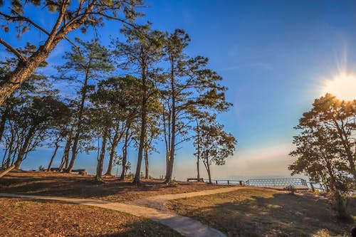 Outdoor Activities Safe During Hot Late-Summer Days