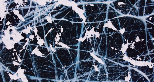 Photo of Frozen Spiderweb