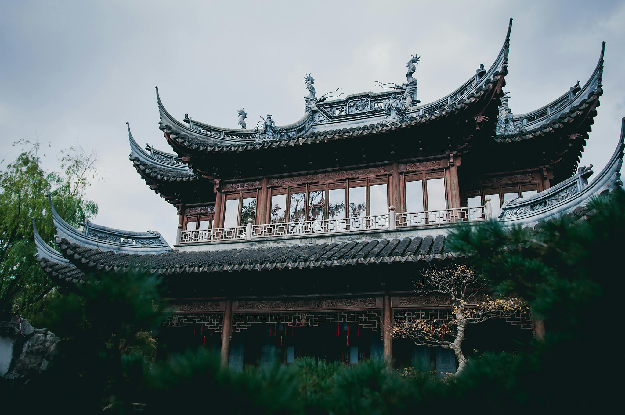 1,000+ Best Dragon Photos · 100% Free Download · Pexels Stock Photos