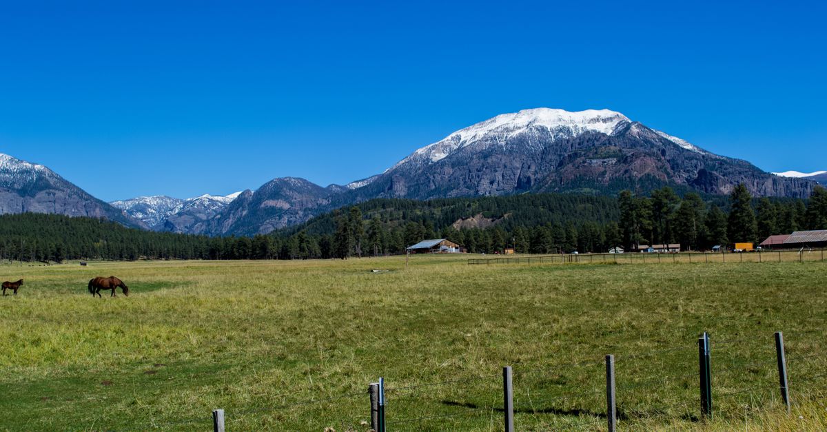 Beautiful mountain view with grazing horses and clear blue sky in Colorado landscape.