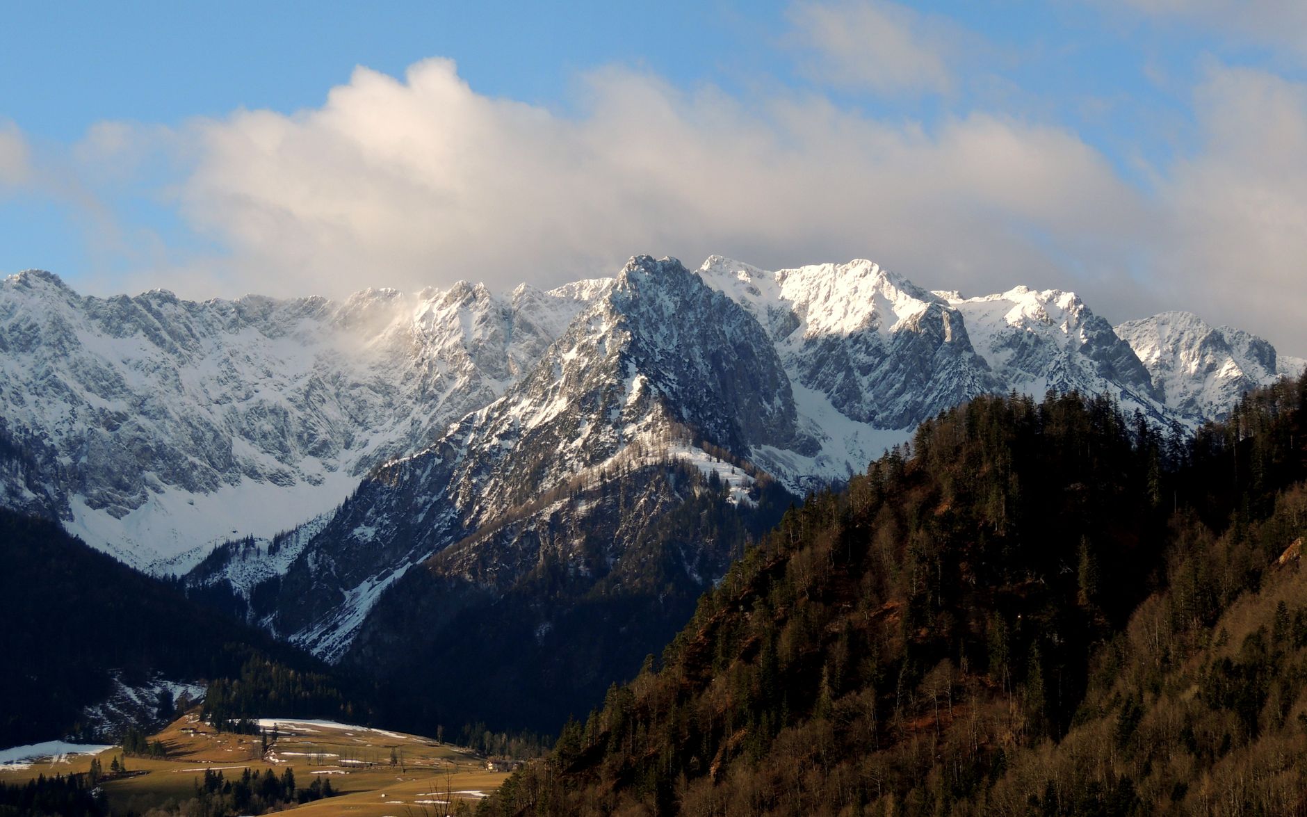 Breathtaking snow-capped mountain range with lush forest in the foreground under a vibrant blue sky.