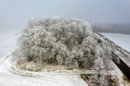 Aerial capture of snow-covered trees and fields in Minnesota during winter, showcasing serene natural beauty.