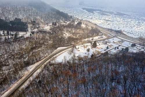 Darmowe zdjęcie z galerii z drzewa, fotografia lotnicza, natura