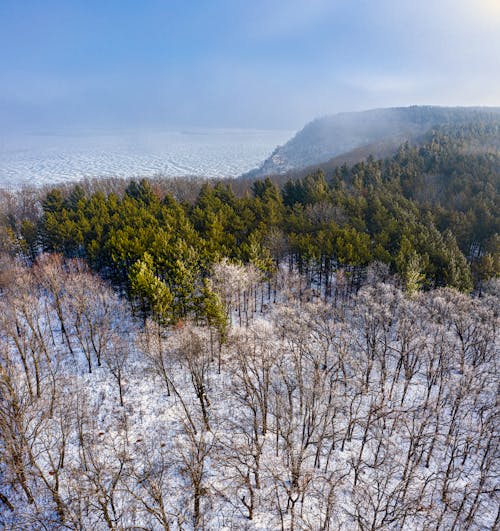 Gratis stockfoto met besneeuwd, bomen, drone fotografie