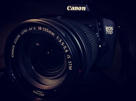 صورة توضيحية لـ قرصة البعوض - قرصة