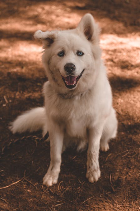 Catfish farming pond construction Nigeria location
