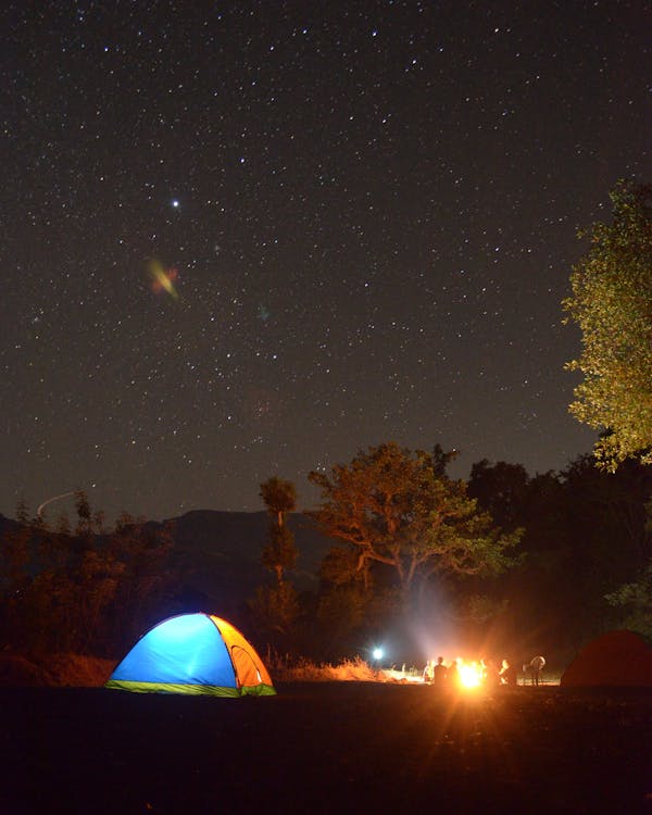 Gratis Foto Tenda Kubah Menyala Biru Dan Kuning Dikelilingi Tanaman Di Malam Hari Foto Stok