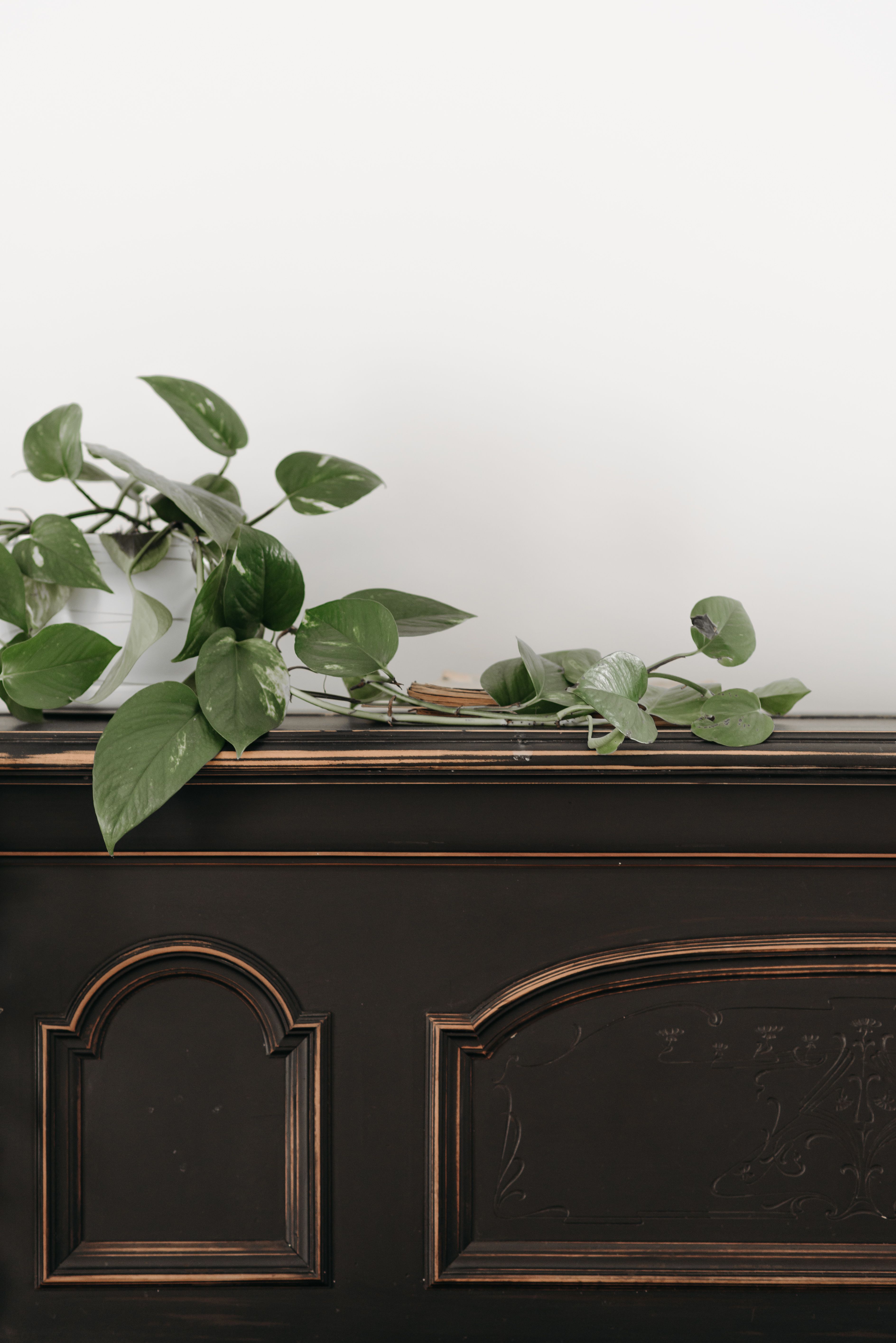 Astuces pour une déco éco-responsable 