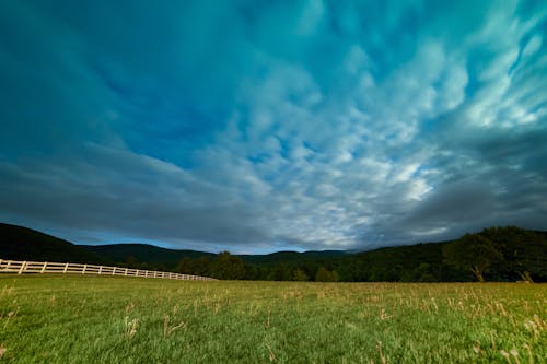 Foto profissional grátis de campo, céu, grama