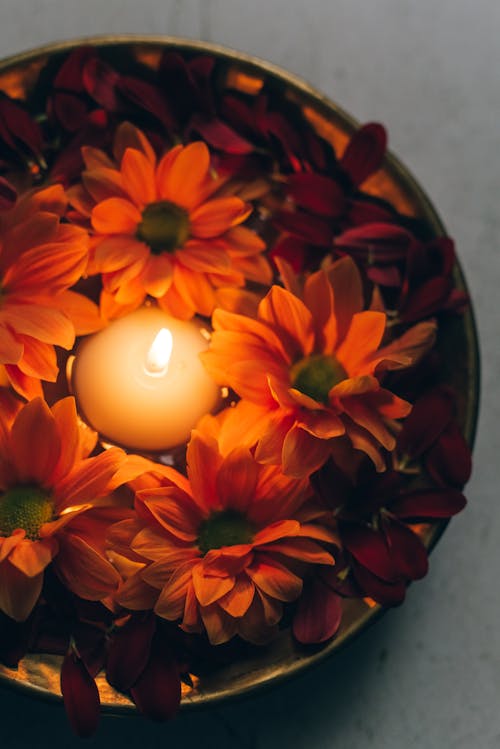 A Burning Candle in Between the Blooming Flowers