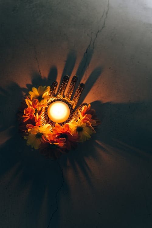 Kostnadsfri bild av belyst, blommor, diwali