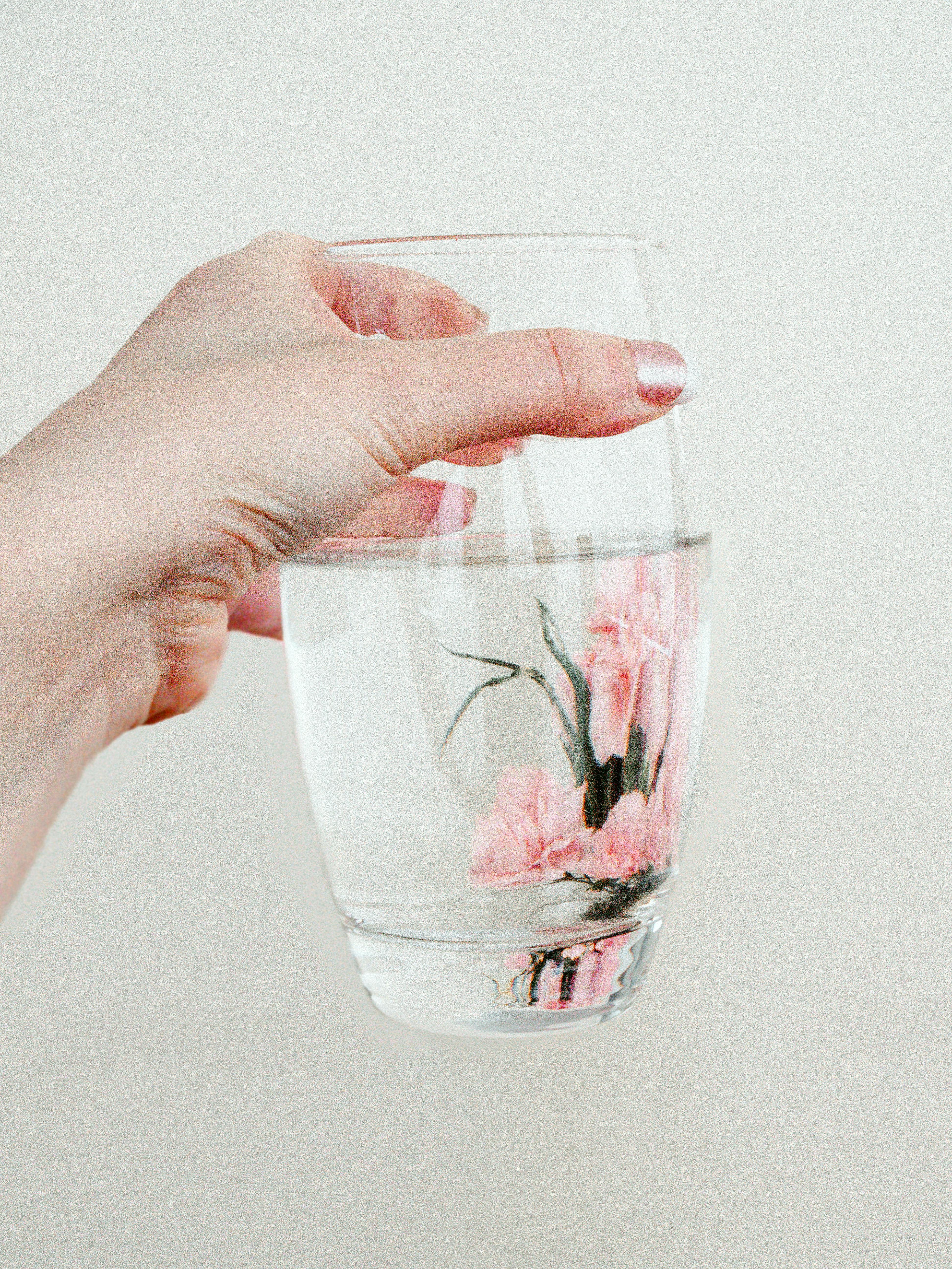 A delicate hand holds a glass of water containing floating pink flowers in a close-up view.
