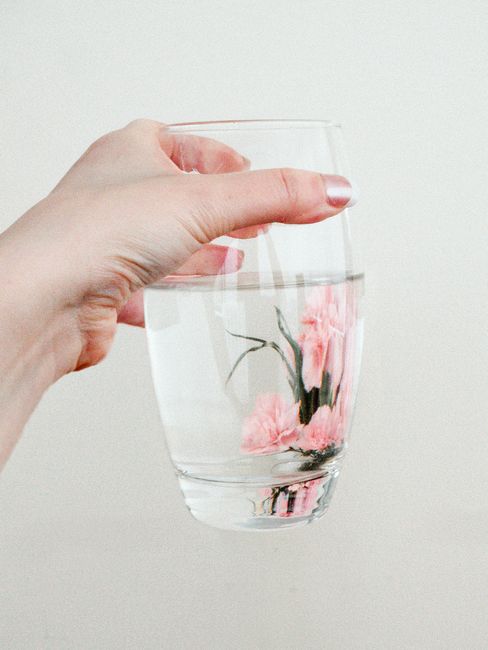 A delicate hand holds a glass of water containing floating pink flowers in a close-up view.