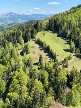 Aerial view of a green valley surrounded by dense conifer forests and rolling hills.